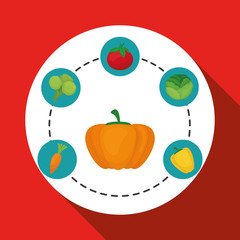 Vegetable design over white background, vector illustration