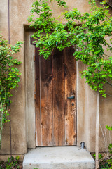 Wooden door outside with plants decorations, ivy, vintage