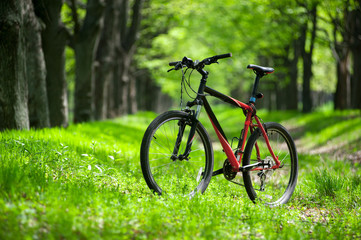 Fototapeta na wymiar mountain bike on the trail in the forest