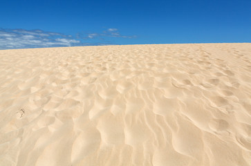 Fototapeta na wymiar Corralejo dunes Fuerteventura desert at Canary Islands of Spain
