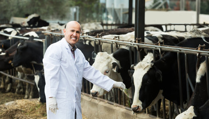 Portrait of male technician caring cows
