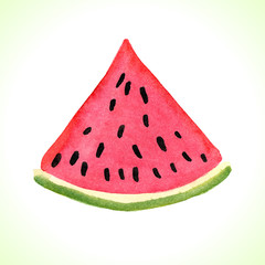 Hand drawn watercolor watermelon illustration