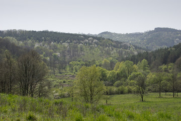 Fototapeta na wymiar Beautiful Hungarian landscape with hills an trees