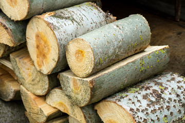 image of stacked logpile and wood texture