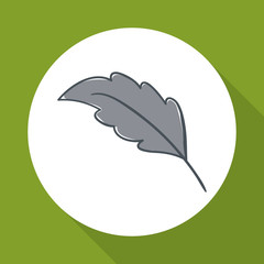 leaf design over white background, vector illustration