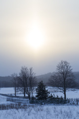 Snowy Winter Landscape View