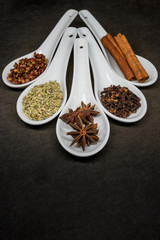 Five Spice with Star Anise Focus