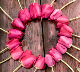 Beautiful red tulips on wooden background