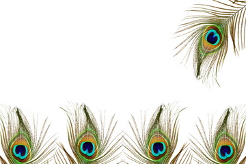 Naklejka premium beautiful peacock feather as background with text copy space