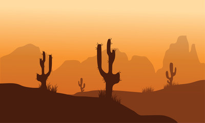 Sunset with Cactus in Desert