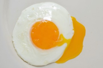 fried egg