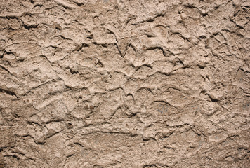 grunge cement wall texture or background