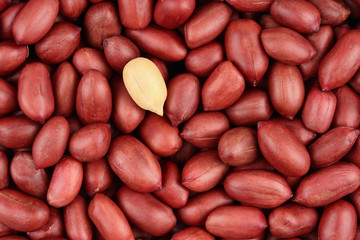 Red grain peanut  on the entire background