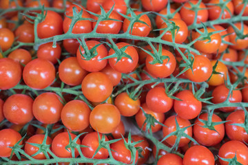 Cherry vine tomatoes 