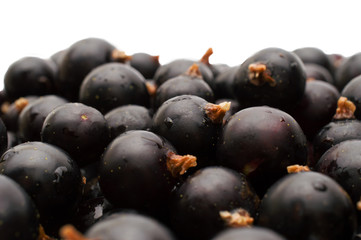 Black currant with leafs top view