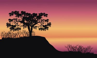 Fototapeta na wymiar Trees at sunrise scenery
