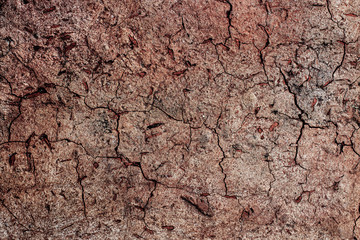 Cracked ground erosion texture background
