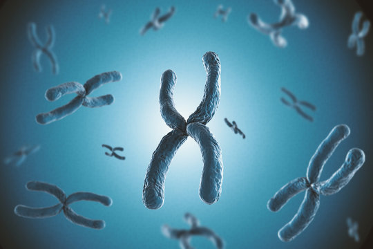 blue chromosome on blue background