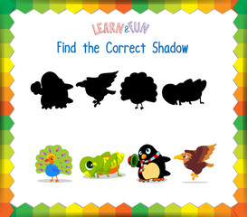 Find the correct Animals shadow