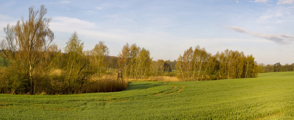 Panorama wiosennego pola
