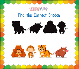 Find the correct Animals shadow