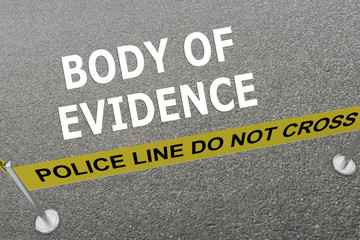 Body of Evidence concept