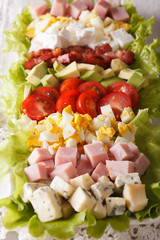 Traditional American Cobb salad macro. vertical
