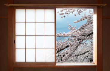 Fototapety  Tradycyjne japońskie okno przesuwne i piękne kwiaty wiśni