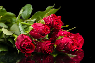 fresh red roses