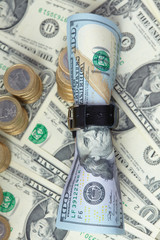 Fototapeta premium belted dollars