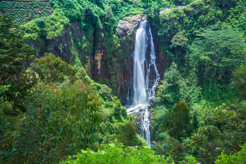 Fototapeta premium Wodospad Devon w Nuwara-eliya, Sri Lanka