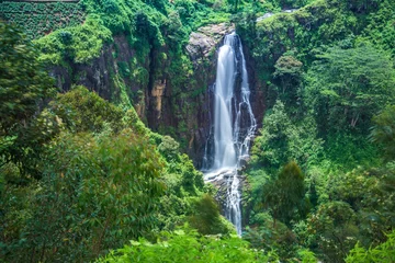 Fototapete Rund Devon-Wasserfall in Nuwara-eliya, Sri Lanka © eranda