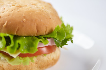 sandwich isolated on white