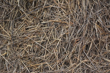 Текстура-солома
