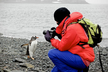 Tourist girl with camera first time seeing a penguin in Antarctica © jshandraw