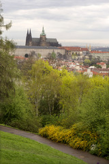 Obraz premium pring Prague City with gothic Castle, green Nature and flowering Trees, Czech Republic