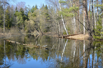 Pictures of Russian spring similar to watercolor paintings