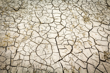 the effect of global warming