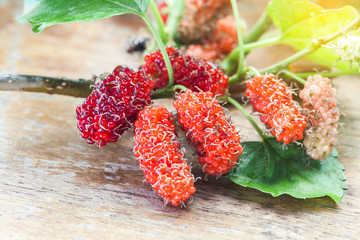 Mulberry fruit on wooden background. Selective