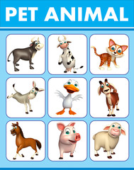 pet animal chart