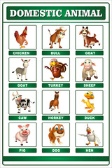 Obraz premium domastic animal chart