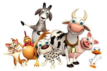 Farm animal collection