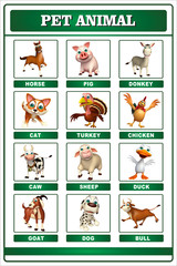 pet animal chart