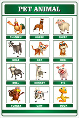 pet animal chart