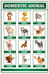 domastic animal chart