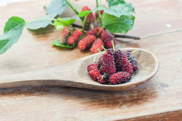 Mulberry fruit on wooden spoon. Selective focus,