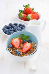 healthy food - granola, berries and milk