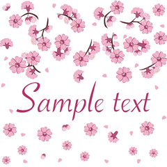 Pink sacura branch of spring with bud