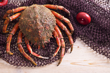 seafood, crab