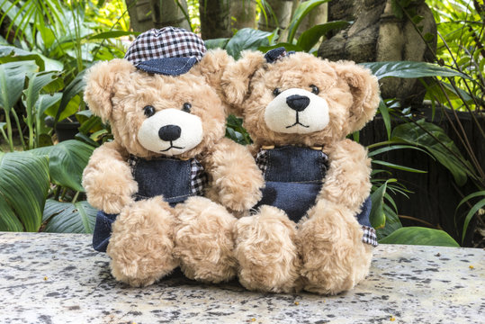 Couple teddy bears on garden background